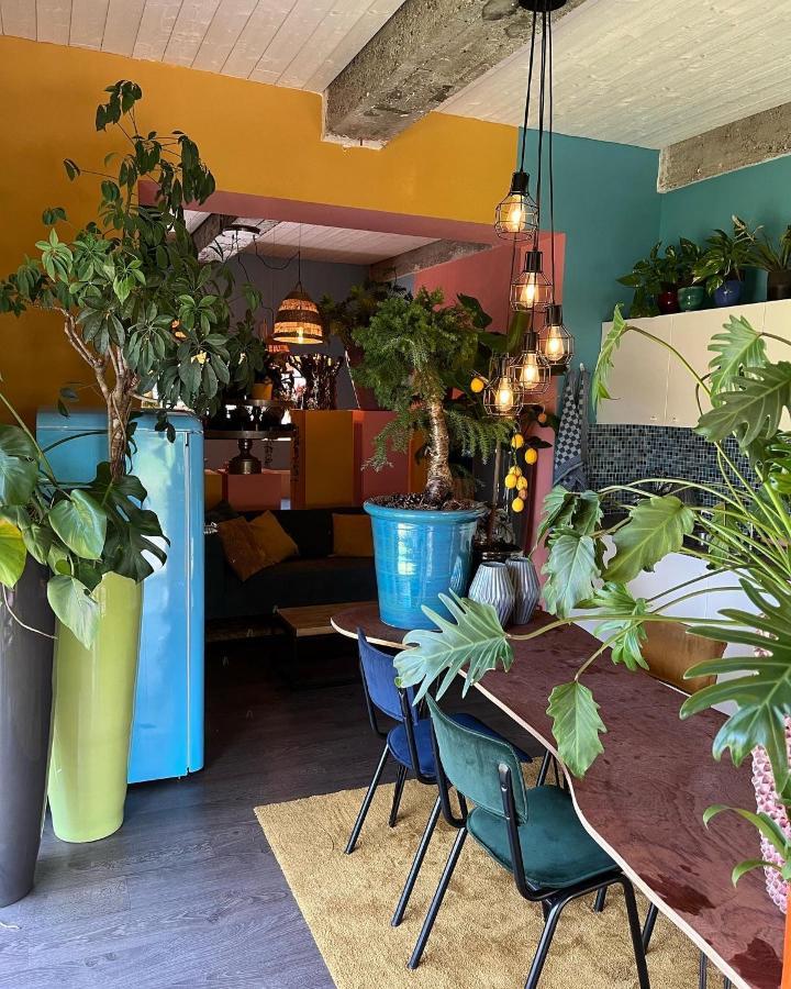 Plantkot -Boekenkot -Kunstkot En Love Kot Poelkapelle 외부 사진