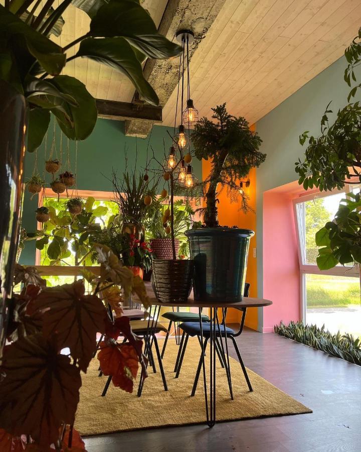 Plantkot -Boekenkot -Kunstkot En Love Kot Poelkapelle 외부 사진